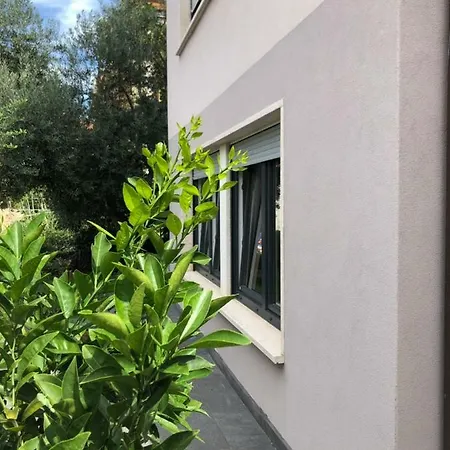 Apartment Flora Pula