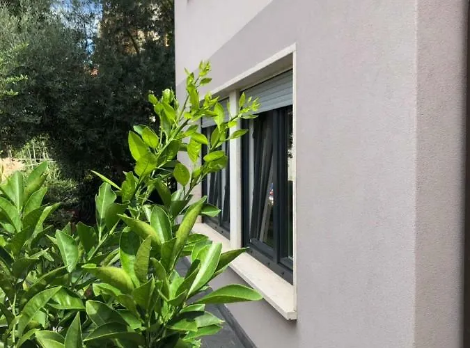 Lejlighed Flora Pula